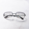 Lash－RAY/C2