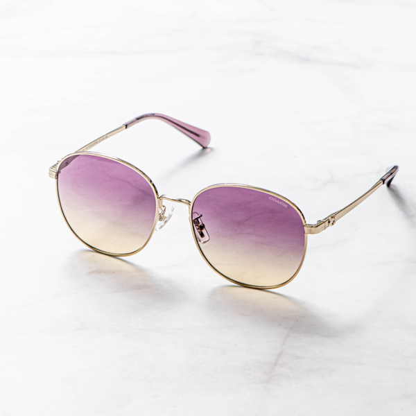 COACH－HC7189/C900570